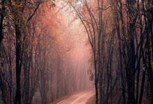 国家主席习近平发表二〇二三年新年贺词