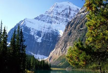 中国共产党中央委员会中华人民共和国全国人民代表大会常务委员会中华人民共和国国务院中国人民政治协商会议全国委员会中国共产党和中华人民共和国中央军事委员会告全党全军全国各族人民书